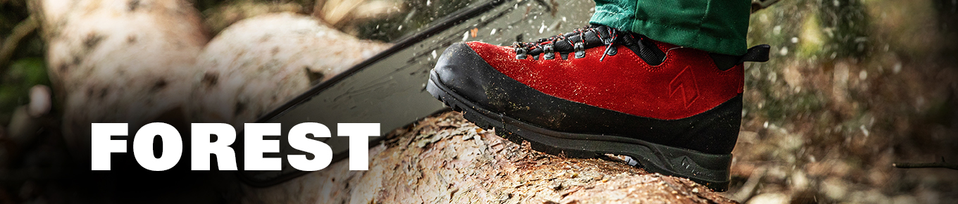 kategoriebanner_forest