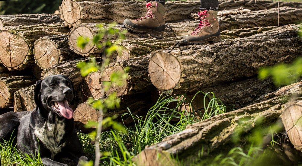 Gore-Tex werklaarzen kopen? ✔️ Tot 20% korting Gore-Tex werklaarzen kopen? ✔️ Tot 20% korting