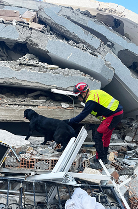 dog rescue foto
